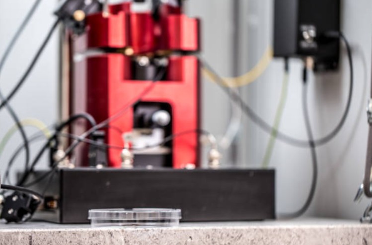 injection mould injection mould